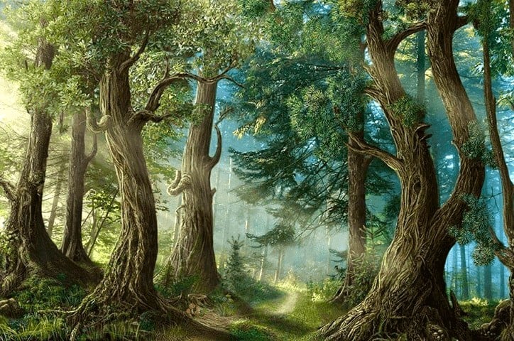 Nữ mạng tuổi Mậu Thìn 1988 thuộc mệnh Đại Lâm Mộc